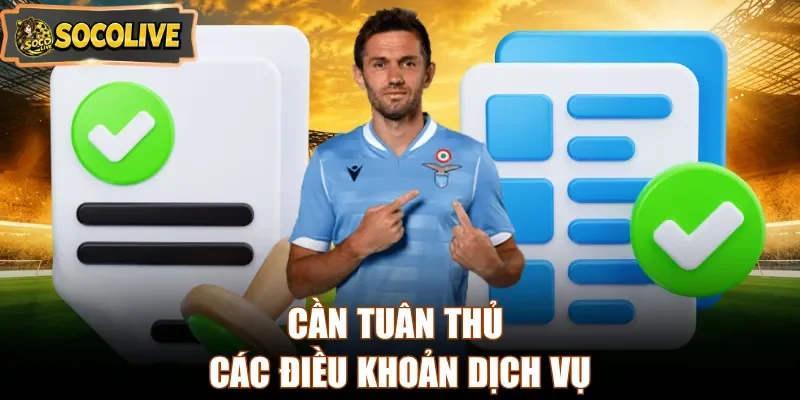 Cần tuân thủ các điều khoản dịch vụ