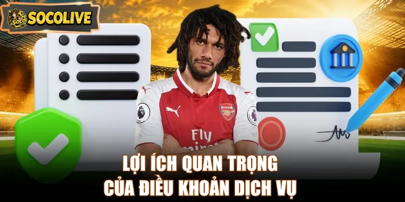 Lợi ích quan trọng của điều khoản dịch vụ