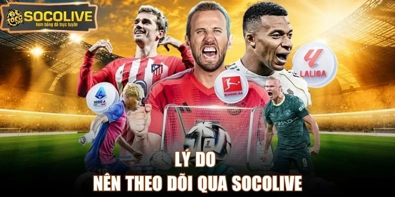 Lý do nên theo dõi qua Socolive