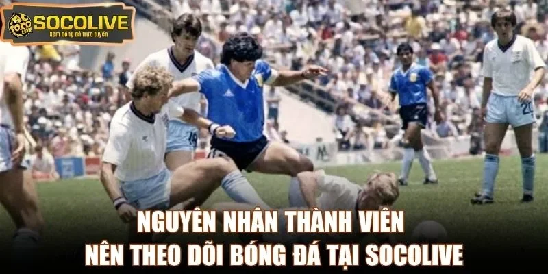 Nguyên nhân thành viên nên theo dõi bóng đá tại Socolive