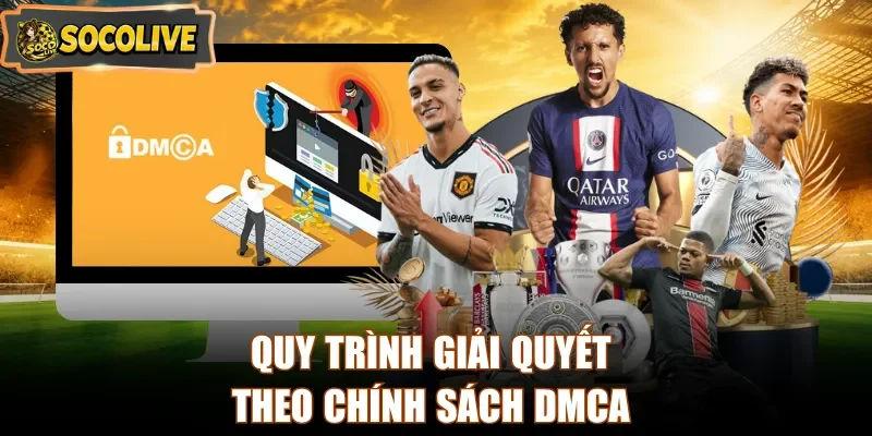 Quy trình giải quyết theo chính sách DMCA