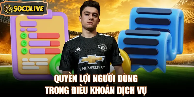 Quyền lợi người dùng trong điều khoản dịch vụ