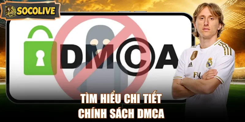 Tìm hiểu chi tiết chính sách DMCA