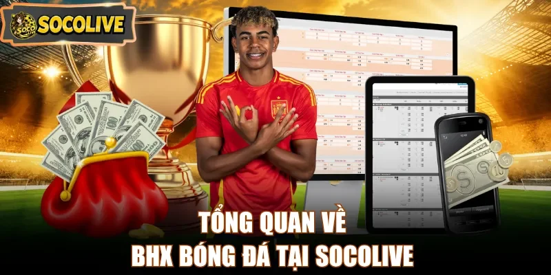 Tổng quan về BHX bóng đá tại Socolive