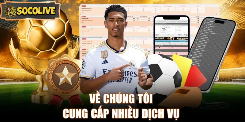 Về chúng tôi cung cấp nhiều dịch vụ